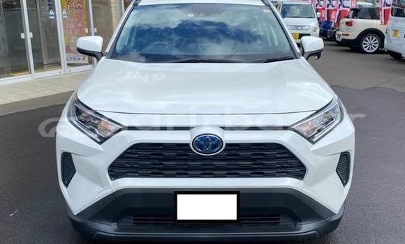 কেনা ব্যবহৃত Toyota RAV4 Pearl গাড়ী মধ্যে ঢাকা মধ্যে Dhaka কেনা ব্যবহৃত Toyota RAV4 Pearl গাড়ী মধ্যে ঢাকা মধ্যে Dhaka