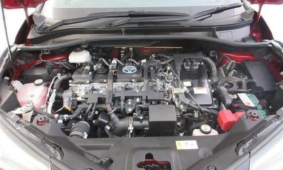 কেনা ব্যবহৃত Toyota chr s led Red wine গাড়ী মধ্যে ঢাকা মধ্যে Dhaka কেনা ব্যবহৃত Toyota chr s led Red wine গাড়ী মধ্যে ঢাকা মধ্যে Dhaka