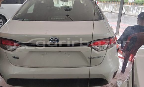 Buy Used 2019 Toyota Corolla in Dhaka, Dhaka Buy Used 2019 Toyota Corolla in Dhaka, Dhaka