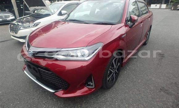 Buy Used 2021 Toyota Axio in Dhaka, Dhaka