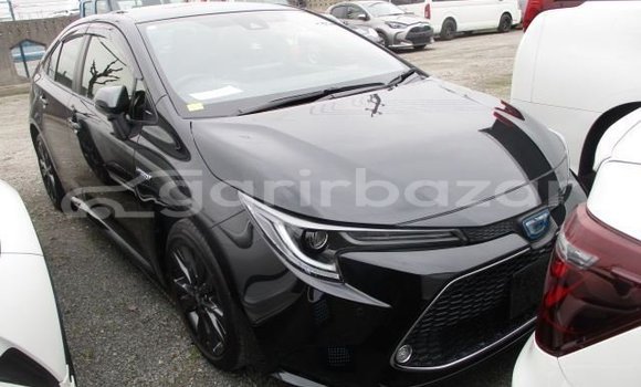 কেনা ব্যবহৃত Toyota corolla Black গাড়ী মধ্যে ঢাকা মধ্যে Dhaka কেনা ব্যবহৃত Toyota corolla Black গাড়ী মধ্যে ঢাকা মধ্যে Dhaka