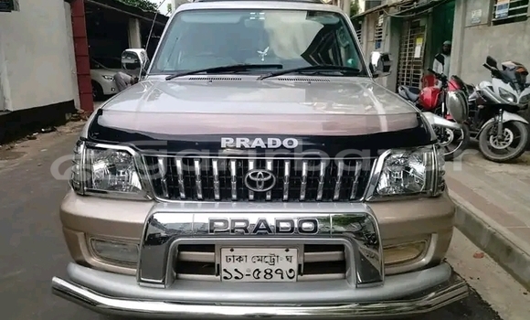 কেনা ব্যবহৃত Toyota Prado Others গাড়ী মধ্যে বোয়ালখালী মধ্যে Chattagam কেনা ব্যবহৃত Toyota Prado Others গাড়ী মধ্যে বোয়ালখালী মধ্যে Chattagam