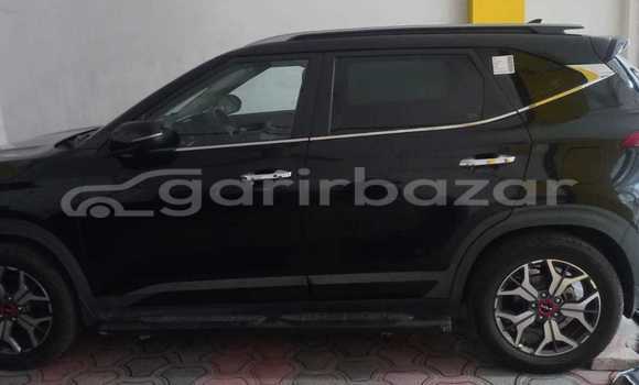 Buy Used 2022 Mercedes-Benz seltos in Dhaka, Dhaka Buy Used 2022 Mercedes-Benz seltos in Dhaka, Dhaka