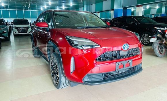 কেনা ব্যবহৃত Toyota Yaris Red গাড়ী মধ্যে আদমদিঘী মধ্যে Bogora কেনা ব্যবহৃত Toyota Yaris Red গাড়ী মধ্যে আদমদিঘী মধ্যে Bogora