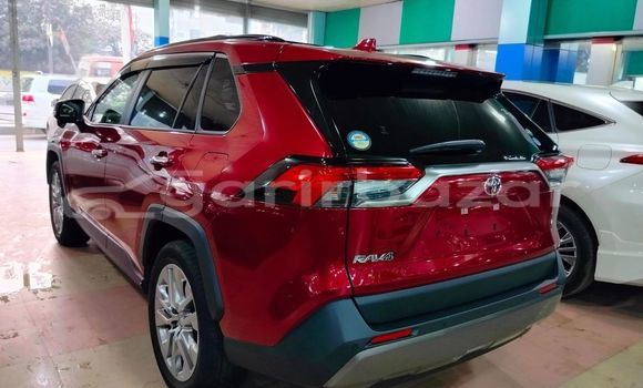 কেনা ব্যবহৃত Toyota RAV4 Red গাড়ী মধ্যে বাগেরহাট মধ্যে Khulna কেনা ব্যবহৃত Toyota RAV4 Red গাড়ী মধ্যে বাগেরহাট মধ্যে Khulna