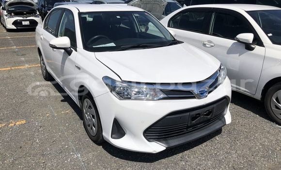 কেনা ব্যবহৃত Toyota axio White গাড়ী মধ্যে বাজিতপুর মধ্যে Kishorganj কেনা ব্যবহৃত Toyota axio White গাড়ী মধ্যে বাজিতপুর মধ্যে Kishorganj