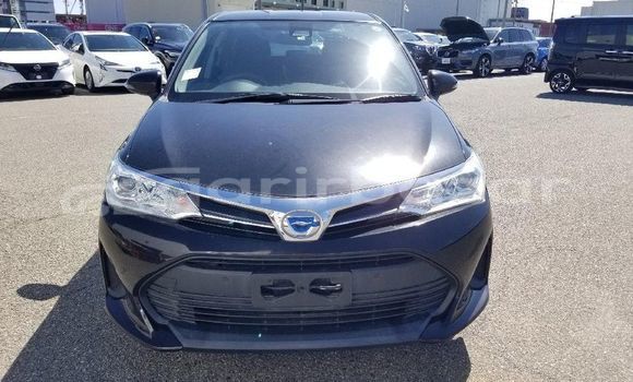 কেনা ব্যবহৃত Toyota axio fielder Black গাড়ী মধ্যে বদরগঞ্জ মধ্যে Rangpur কেনা ব্যবহৃত Toyota axio fielder Black গাড়ী মধ্যে বদরগঞ্জ মধ্যে Rangpur