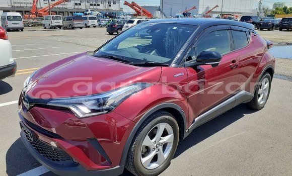 কেনা ব্যবহৃত Toyota CHR Red গাড়ী মধ্যে বাগেরহাট মধ্যে Khulna কেনা ব্যবহৃত Toyota CHR Red গাড়ী মধ্যে বাগেরহাট মধ্যে Khulna