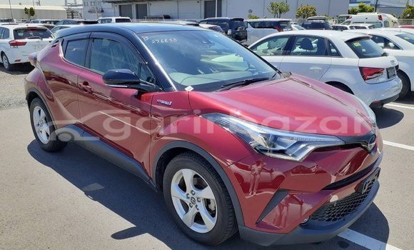 কেনা ব্যবহৃত Toyota CHR Red গাড়ী মধ্যে বাগেরহাট মধ্যে Khulna কেনা ব্যবহৃত Toyota CHR Red গাড়ী মধ্যে বাগেরহাট মধ্যে Khulna