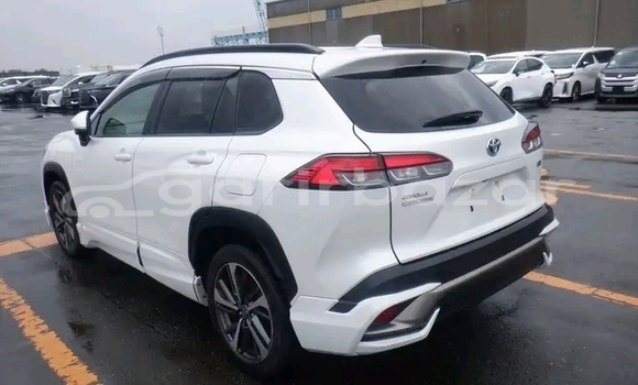 Buy Used Toyota corolla in Bandarban, Bandarban Buy Used Toyota corolla in Bandarban, Bandarban