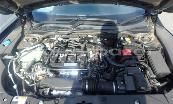 Buy Import 2019 Honda Civic in Dhaka, Dhaka Buy Import 2019 Honda Civic in Dhaka, Dhaka