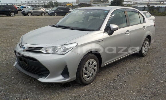 কেনা আমদানি Toyota Axio Silver গাড়ী মধ্যে ঢাকা মধ্যে Dhaka কেনা আমদানি Toyota Axio Silver গাড়ী মধ্যে ঢাকা মধ্যে Dhaka