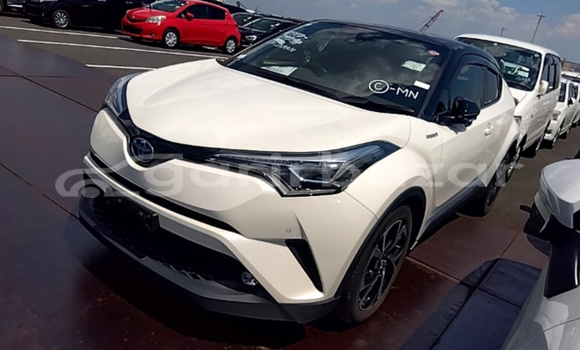 Buy Import 2019 Toyota CH-R in Dhaka, Dhaka