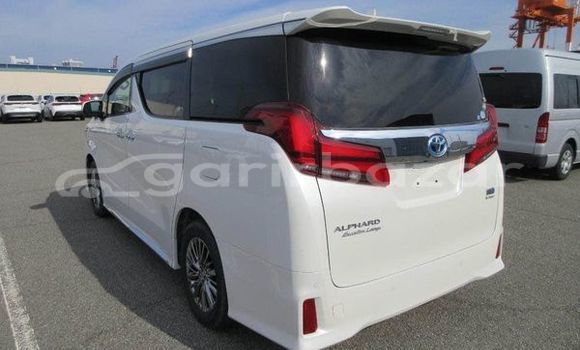 Buy Used 2019 Toyota Alphard in Dhaka, Dhaka Buy Used 2019 Toyota Alphard in Dhaka, Dhaka