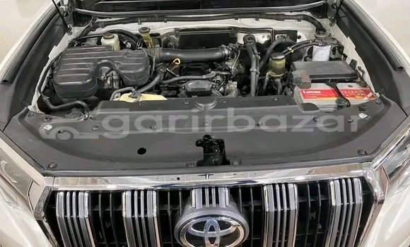 কেনা ব্যবহৃত Toyota Land Cruiser Prado White গাড়ী মধ্যে বানিয়াচং মধ্যে Habiganj কেনা ব্যবহৃত Toyota Land Cruiser Prado White গাড়ী মধ্যে বানিয়াচং মধ্যে Habiganj