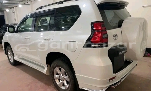 কেনা ব্যবহৃত Toyota Land Cruiser Prado White গাড়ী মধ্যে বানিয়াচং মধ্যে Habiganj কেনা ব্যবহৃত Toyota Land Cruiser Prado White গাড়ী মধ্যে বানিয়াচং মধ্যে Habiganj