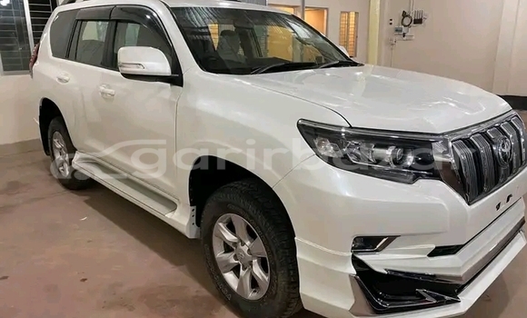 কেনা ব্যবহৃত Toyota Land Cruiser Prado White গাড়ী মধ্যে বানিয়াচং মধ্যে Habiganj কেনা ব্যবহৃত Toyota Land Cruiser Prado White গাড়ী মধ্যে বানিয়াচং মধ্যে Habiganj