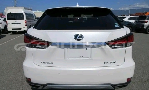 কেনা ব্যবহৃত Lexus RX 300 White গাড়ী মধ্যে ভোলা মধ্যে Bhola কেনা ব্যবহৃত Lexus RX 300 White গাড়ী মধ্যে ভোলা মধ্যে Bhola