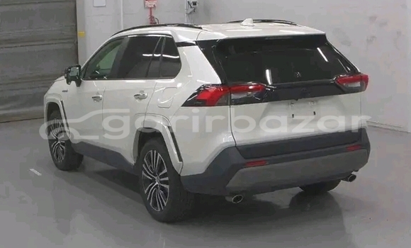 কেনা ব্যবহৃত Toyota RAV4 White গাড়ী মধ্যে ভান্ডারিয়া মধ্যে Pirojpur কেনা ব্যবহৃত Toyota RAV4 White গাড়ী মধ্যে ভান্ডারিয়া মধ্যে Pirojpur