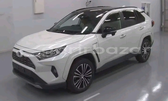 কেনা ব্যবহৃত Toyota RAV4 White গাড়ী মধ্যে ভান্ডারিয়া মধ্যে Pirojpur কেনা ব্যবহৃত Toyota RAV4 White গাড়ী মধ্যে ভান্ডারিয়া মধ্যে Pirojpur
