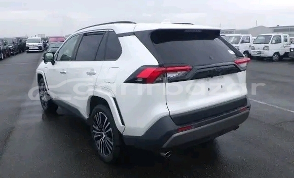 কেনা ব্যবহৃত Toyota RAV4 White গাড়ী মধ্যে ভান্ডারিয়া মধ্যে Pirojpur কেনা ব্যবহৃত Toyota RAV4 White গাড়ী মধ্যে ভান্ডারিয়া মধ্যে Pirojpur