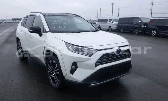 কেনা ব্যবহৃত Toyota RAV4 White গাড়ী মধ্যে ভান্ডারিয়া মধ্যে Pirojpur কেনা ব্যবহৃত Toyota RAV4 White গাড়ী মধ্যে ভান্ডারিয়া মধ্যে Pirojpur