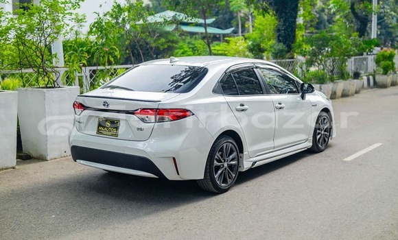 Buy Used 2020 Toyota corolla in Dhaka, Dhaka Buy Used 2020 Toyota corolla in Dhaka, Dhaka