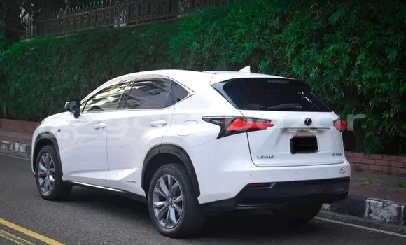 Buy Used Lexus nx300h in Bhaluka, Maimansingh Buy Used Lexus nx300h in Bhaluka, Maimansingh