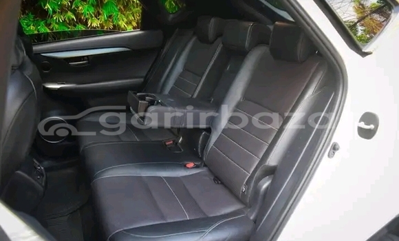 Buy Used Lexus nx300h in Bhaluka, Maimansingh Buy Used Lexus nx300h in Bhaluka, Maimansingh