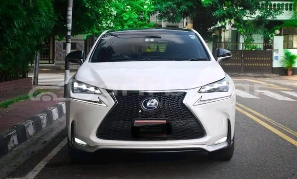 Buy Used Lexus nx300h in Bhaluka, Maimansingh Buy Used Lexus nx300h in Bhaluka, Maimansingh