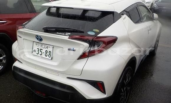 Buy Used 2019 Toyota CH-R in Dhaka, Dhaka Buy Used 2019 Toyota CH-R in Dhaka, Dhaka