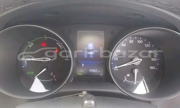 Buy Used Toyota CHR in Char Fasson, Bhola Buy Used Toyota CHR in Char Fasson, Bhola