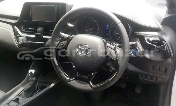 Buy Used Toyota CHR in Char Fasson, Bhola Buy Used Toyota CHR in Char Fasson, Bhola