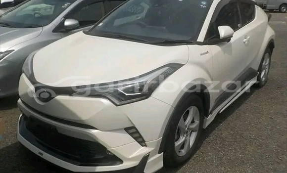 Buy Used Toyota CHR in Char Fasson, Bhola Buy Used Toyota CHR in Char Fasson, Bhola