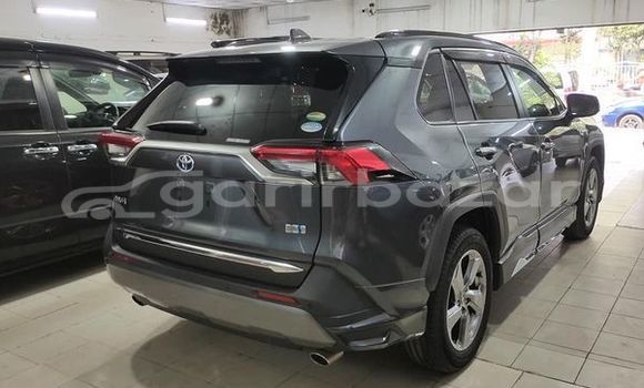 কেনা ব্যবহৃত Toyota RAV4 Gray গাড়ী মধ্যে ঢাকা মধ্যে Dhaka কেনা ব্যবহৃত Toyota RAV4 Gray গাড়ী মধ্যে ঢাকা মধ্যে Dhaka