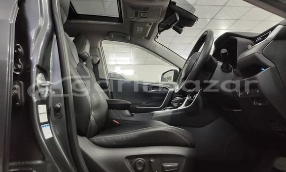 কেনা ব্যবহৃত Toyota RAV4 Gray গাড়ী মধ্যে ঢাকা মধ্যে Dhaka কেনা ব্যবহৃত Toyota RAV4 Gray গাড়ী মধ্যে ঢাকা মধ্যে Dhaka