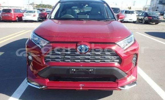 কেনা ব্যবহৃত Toyota Rav 4 Wine গাড়ী মধ্যে ঢাকা মধ্যে Dhaka