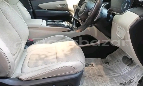 কেনা ব্যবহৃত Hyundai Tucson Black গাড়ী মধ্যে বান্দরবান মধ্যে Bandarban কেনা ব্যবহৃত Hyundai Tucson Black গাড়ী মধ্যে বান্দরবান মধ্যে Bandarban