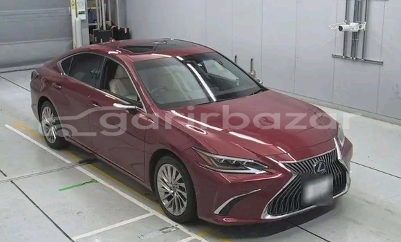 Buy Used 2019 Lexus ES 300 in Bochanganj, Dinajpur Buy Used 2019 Lexus ES 300 in Bochanganj, Dinajpur