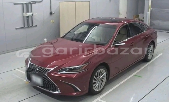 Buy Used 2019 Lexus ES 300 in Bochanganj, Dinajpur Buy Used 2019 Lexus ES 300 in Bochanganj, Dinajpur