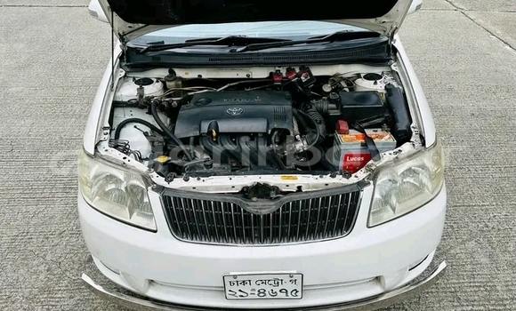 Buy Used Toyota Corolla in Bajitpur, Kishorganj Buy Used Toyota Corolla in Bajitpur, Kishorganj