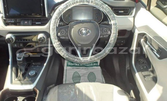 কেনা ব্যবহৃত Toyota RAV4 Red গাড়ী মধ্যে ঢাকা মধ্যে Dhaka কেনা ব্যবহৃত Toyota RAV4 Red গাড়ী মধ্যে ঢাকা মধ্যে Dhaka