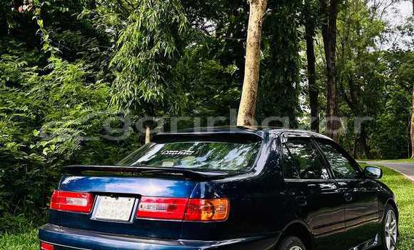 Buy Used 2020 Toyota corolla in Dhaka, Dhaka Buy Used 2020 Toyota corolla in Dhaka, Dhaka