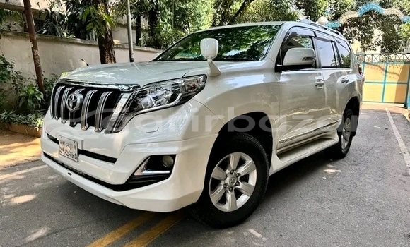 Buy Used Toyota Prado in Bhaluka, Maimansingh Buy Used Toyota Prado in Bhaluka, Maimansingh