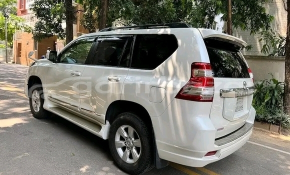 Buy Used Toyota Prado in Bhaluka, Maimansingh Buy Used Toyota Prado in Bhaluka, Maimansingh