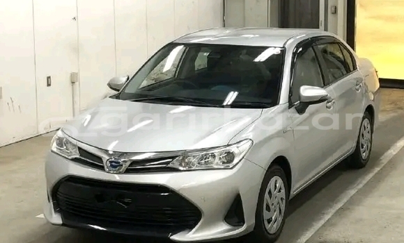 কেনা ব্যবহৃত Toyota Axio White গাড়ী মধ্যে বানিয়াচং মধ্যে Habiganj কেনা ব্যবহৃত Toyota Axio White গাড়ী মধ্যে বানিয়াচং মধ্যে Habiganj