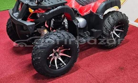 Buy New 2024 Lifan LF in Dhaka, Dhaka