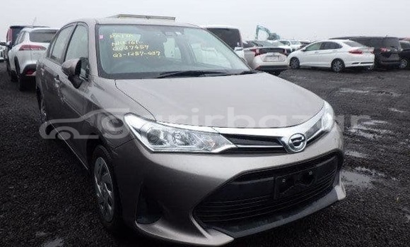 কেনা ব্যবহৃত Toyota axio Other গাড়ী মধ্যে ঢাকা মধ্যে Dhaka কেনা ব্যবহৃত Toyota axio Other গাড়ী মধ্যে ঢাকা মধ্যে Dhaka