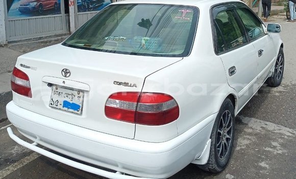 কেনা ব্যবহৃত Toyota corolla White গাড়ী মধ্যে ঢাকা মধ্যে Dhaka কেনা ব্যবহৃত Toyota corolla White গাড়ী মধ্যে ঢাকা মধ্যে Dhaka