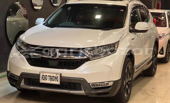 Buy Used 2019 Honda CR-V in Dhaka, Dhaka Buy Used 2019 Honda CR-V in Dhaka, Dhaka